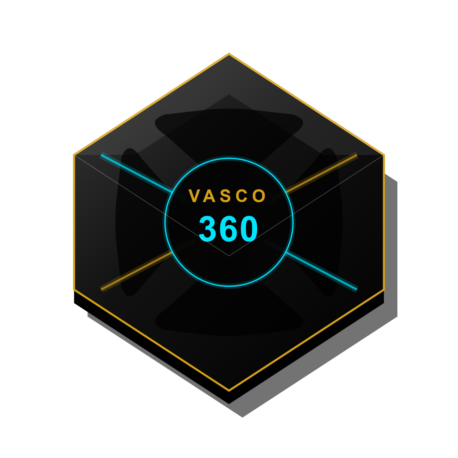 Vasco 360