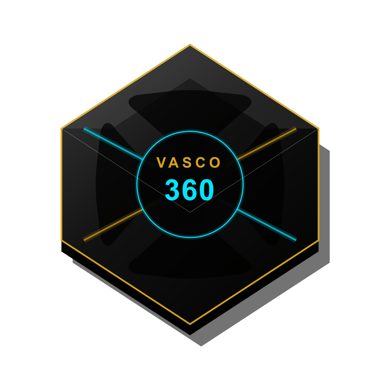 Vasco 360